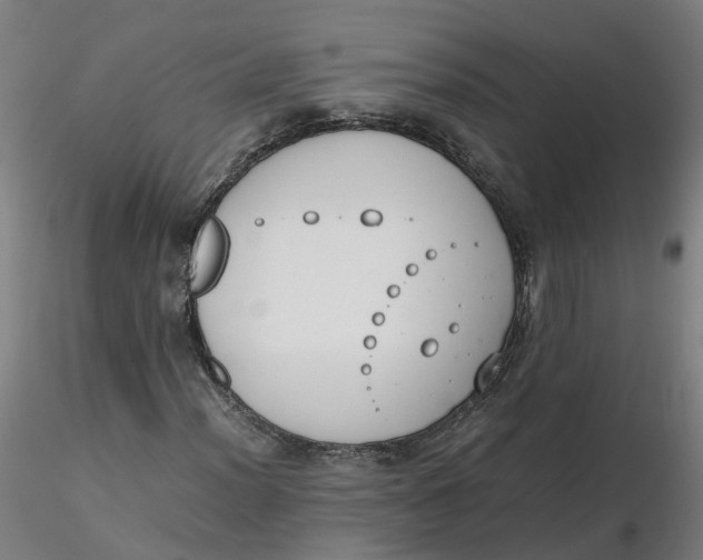 X0000116331012200912221415