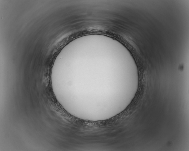 X0000116331015200912221415