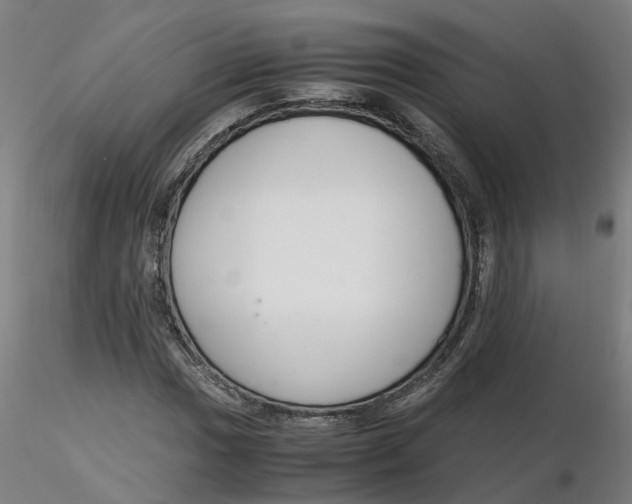 X0000116331017200912221415