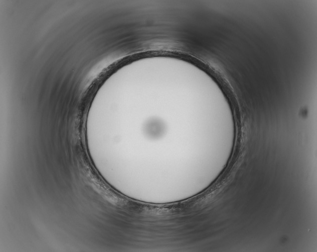 X0000116331019200912221415