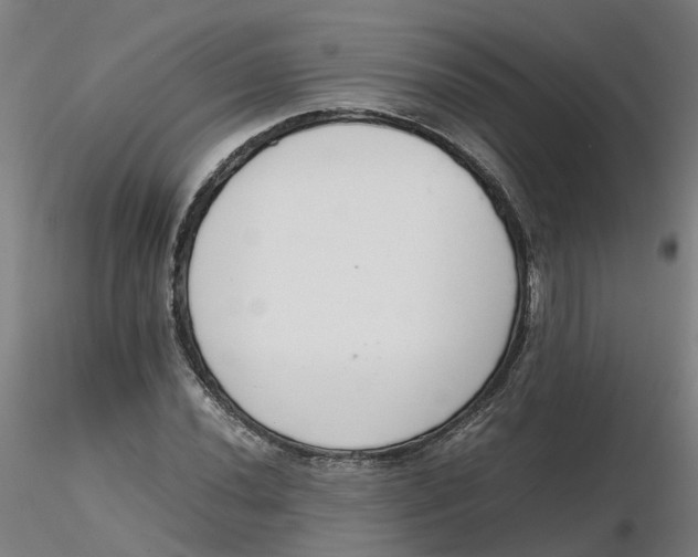 X0000116331020200912221415