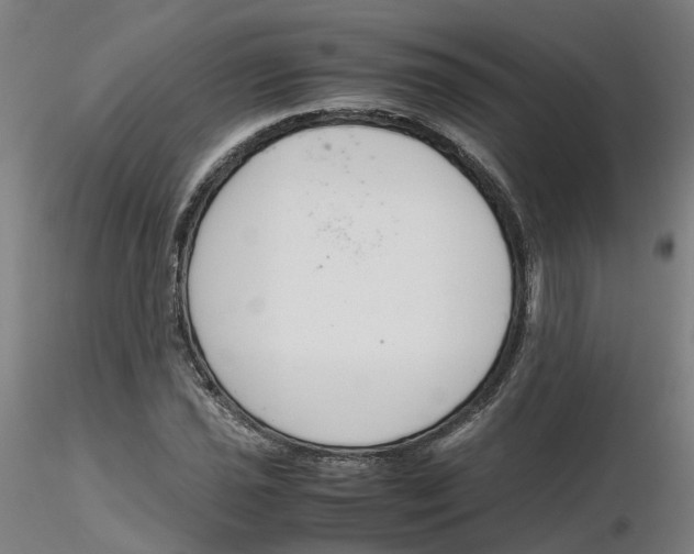 X0000116331021200912221415