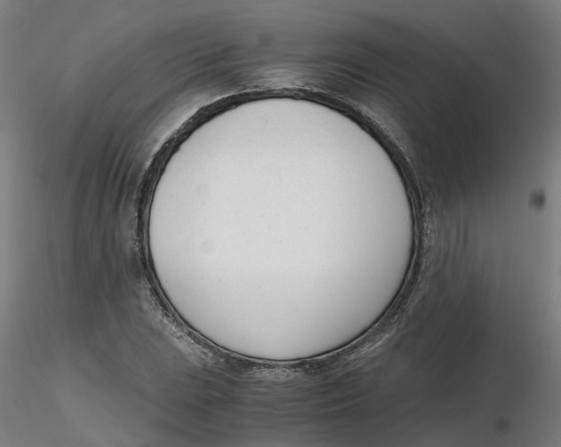 X0000116331023200912221415