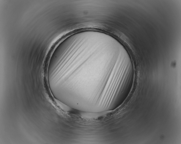 X0000116331024200912221415