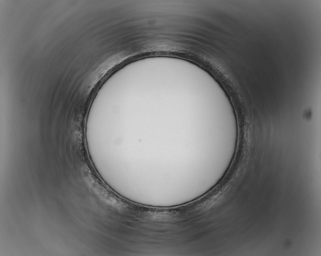 X0000116331025200912221415