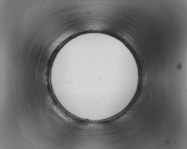 X0000116331026200912221415