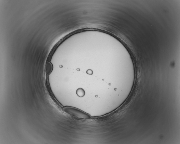 X0000116331028200912221415