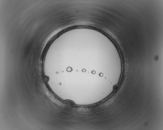 X0000116331029200912221415