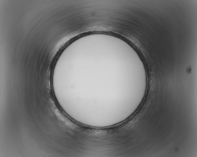 X0000116331030200912221415