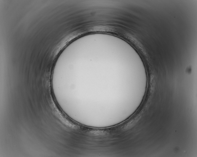 X0000116331033200912221415