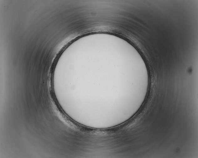 X0000116331034200912221415