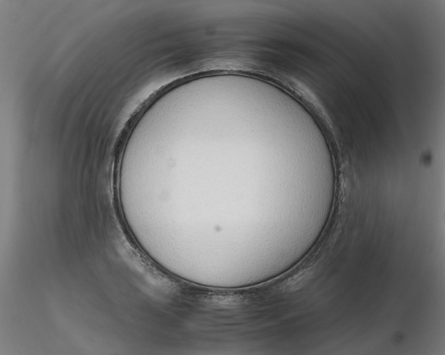 X0000116331035200912221415