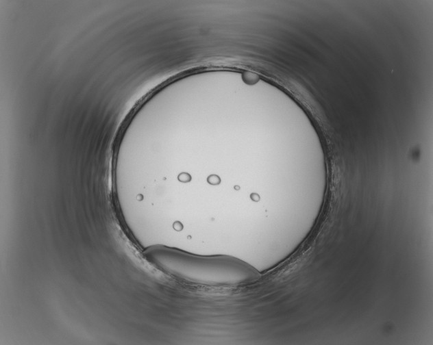 X0000116331036200912221416