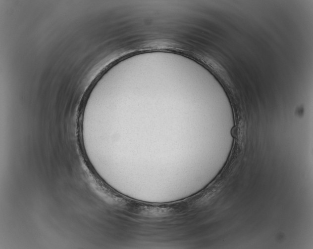 X0000116331039200912221416