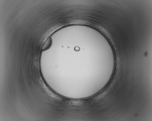 X0000116331041200912221416