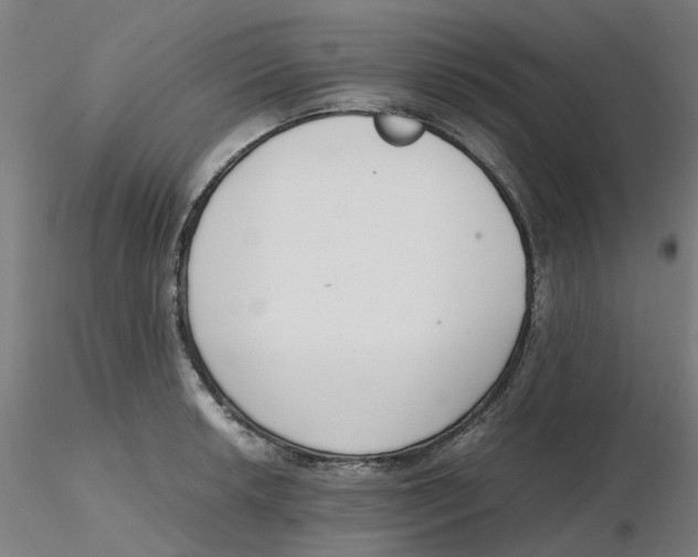 X0000116331042200912221416