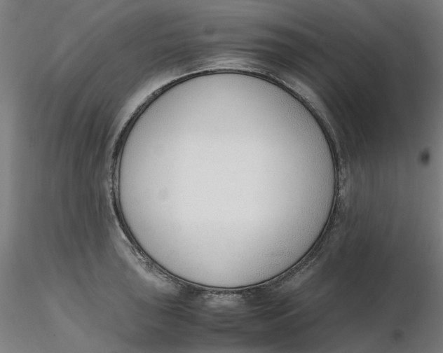 X0000116331043200912221416