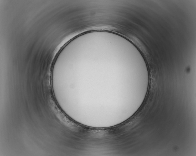 X0000116331044200912221416