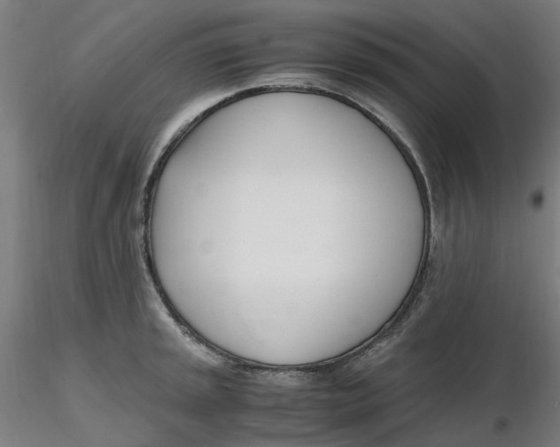 X0000116331045200912221416