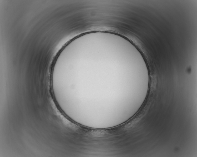 X0000116331046200912221416