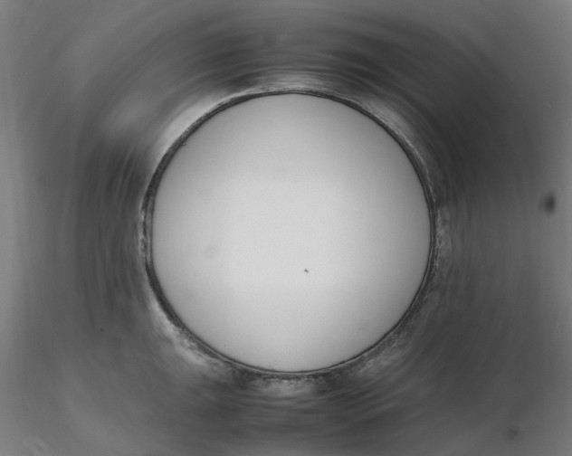 X0000116331047200912221416