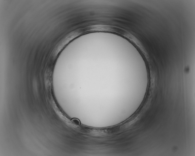 X0000116331049200912221416