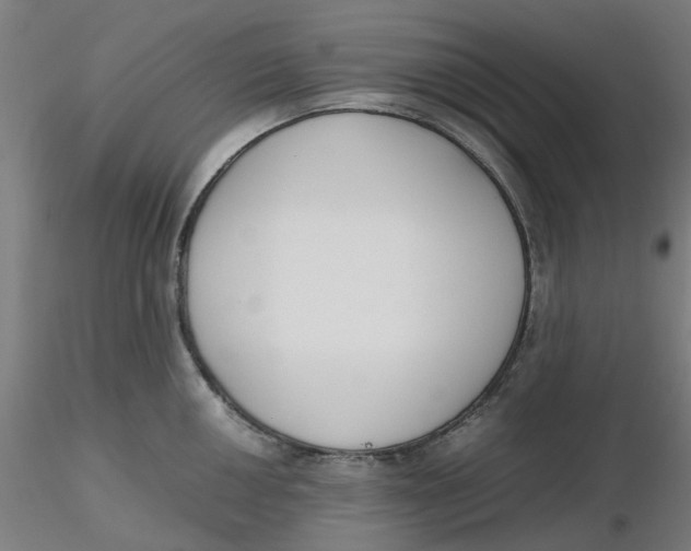 X0000116331050200912221416