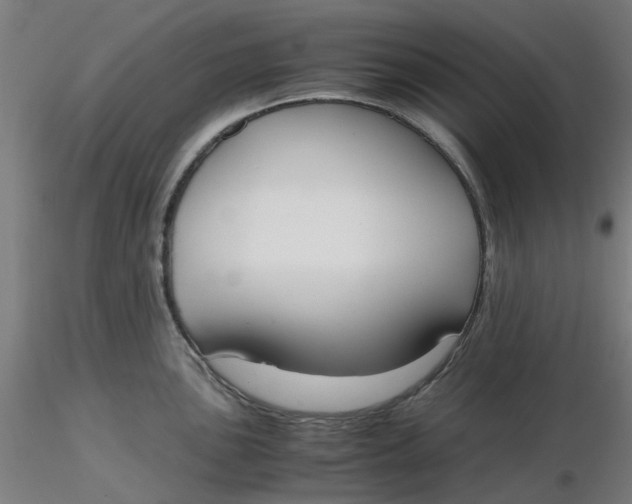 X0000116331051200912221416