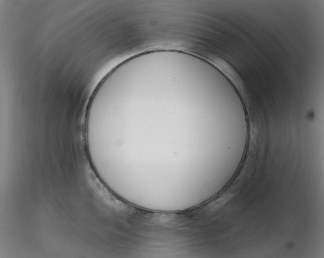 X0000116331052200912221416