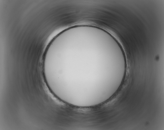 X0000116331053200912221416