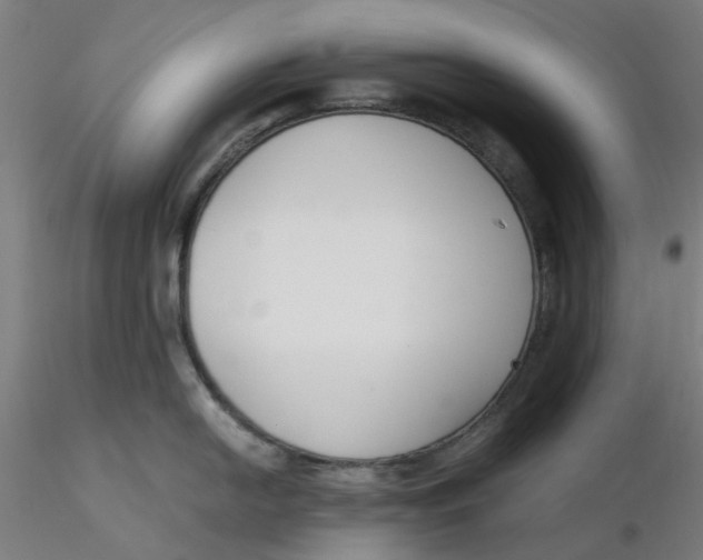 X0000116331054200912221416