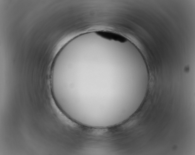 X0000116331055200912221416