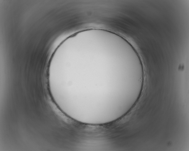 X0000116331056200912221416