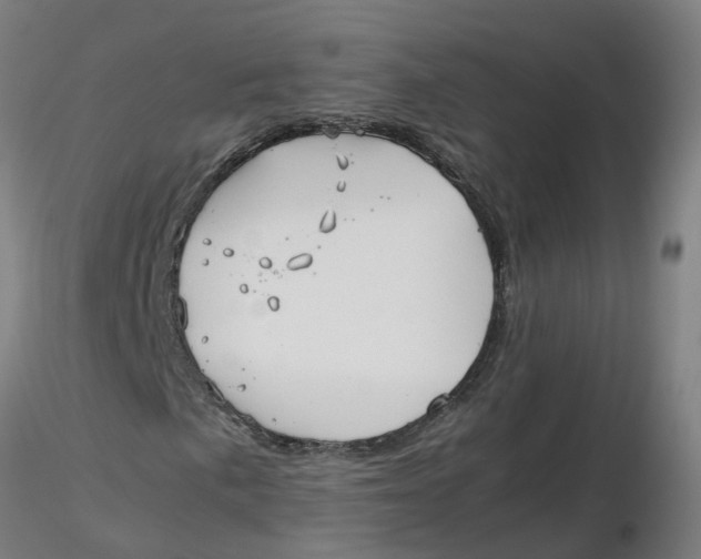 X0000116331057200912221415