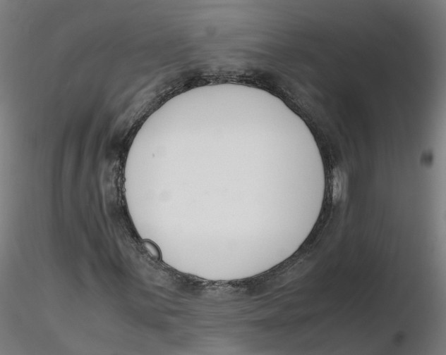 X0000116331059200912221415