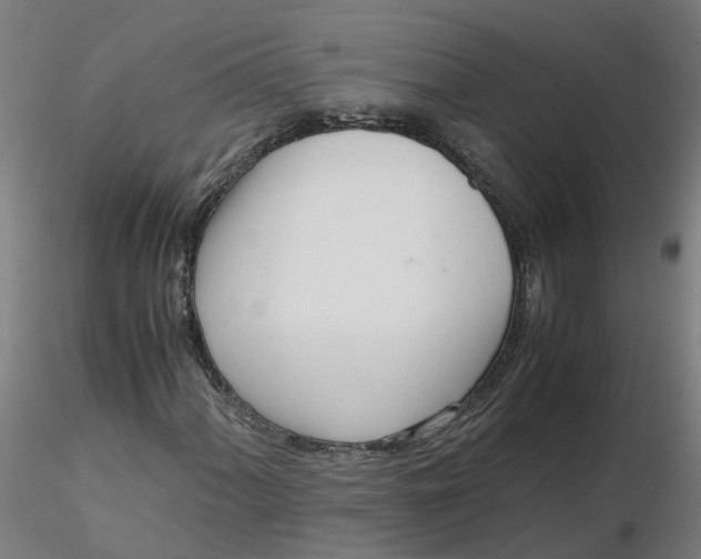 X0000116331060200912221415