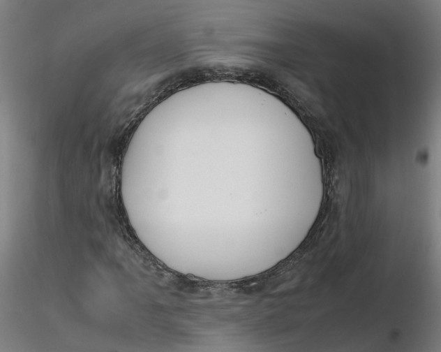 X0000116331061200912221415