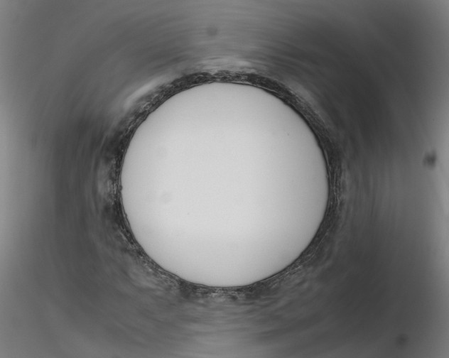 X0000116331063200912221415