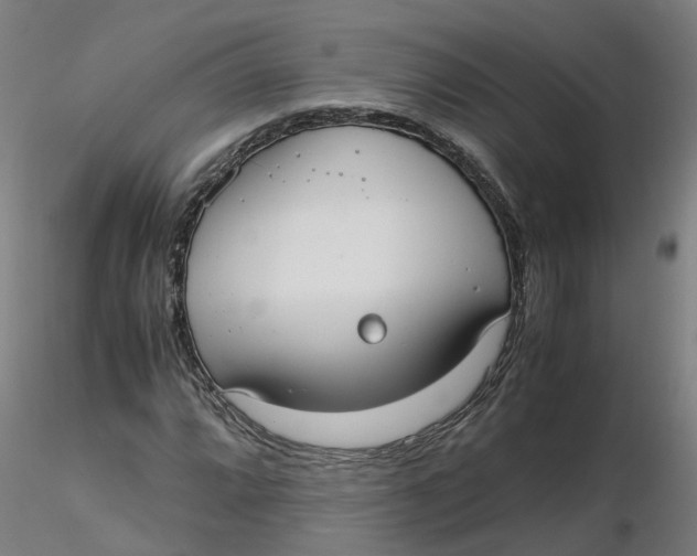 X0000116331064200912221415