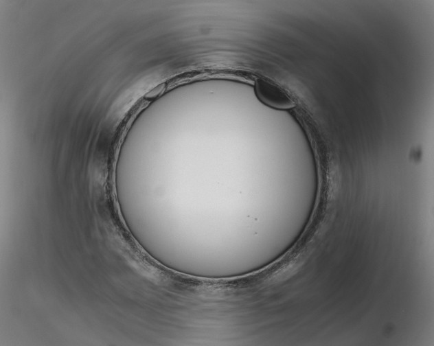 X0000116331065200912221415