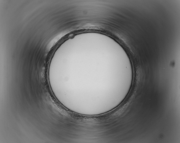 X0000116331066200912221415