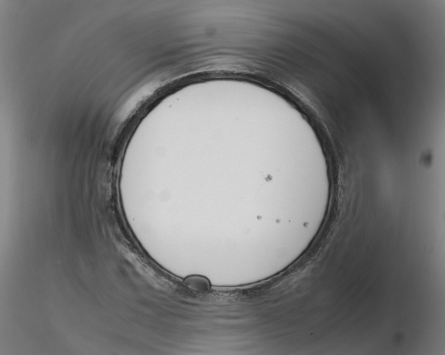 X0000116331067200912221415