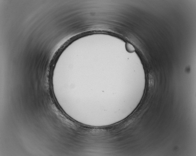 X0000116331068200912221415