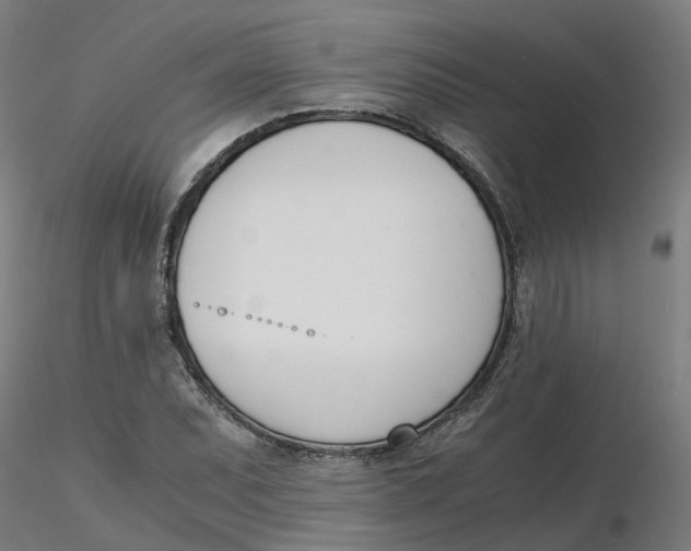 X0000116331071200912221415