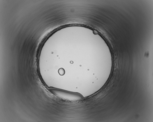 X0000116331072200912221415