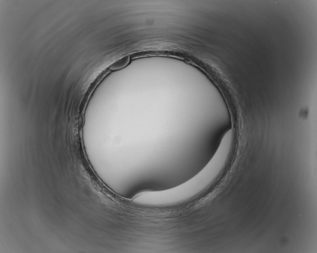 X0000116331073200912221415