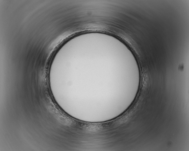 X0000116331074200912221415