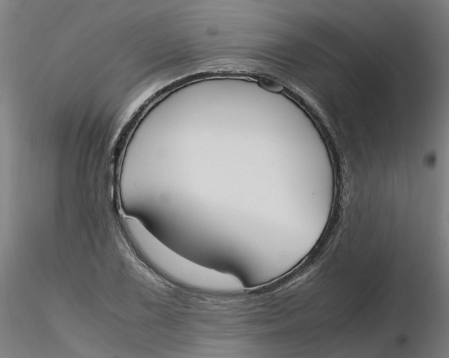 X0000116331075200912221415