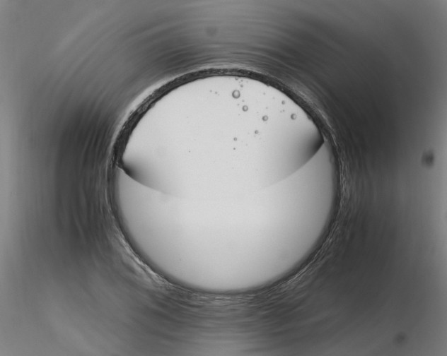 X0000116331076200912221415