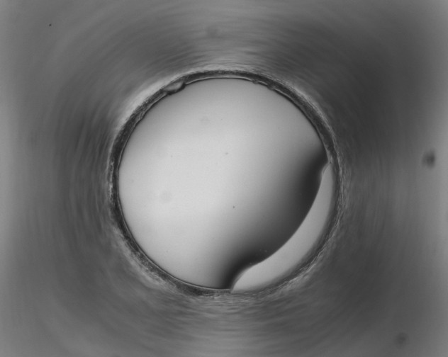 X0000116331077200912221415